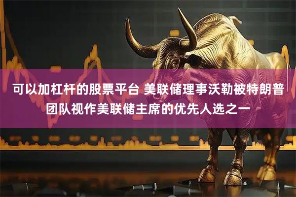 可以加杠杆的股票平台 美联储理事沃勒被特朗普团队视作美联储主席的优先人选之一