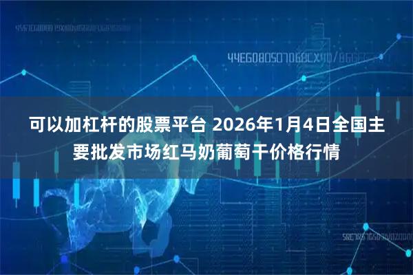 可以加杠杆的股票平台 2026年1月4日全国主要批发市场红马奶葡萄干价格行情